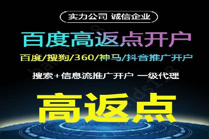 成功案例：sem竞价托管的智慧与策略
